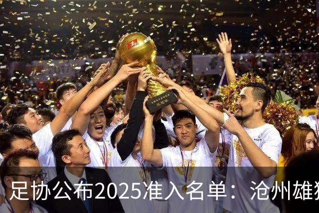 足协公布2025准入名单：沧州雄狮、广州队无缘